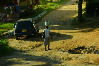 DSC_7795 (Large).JPG